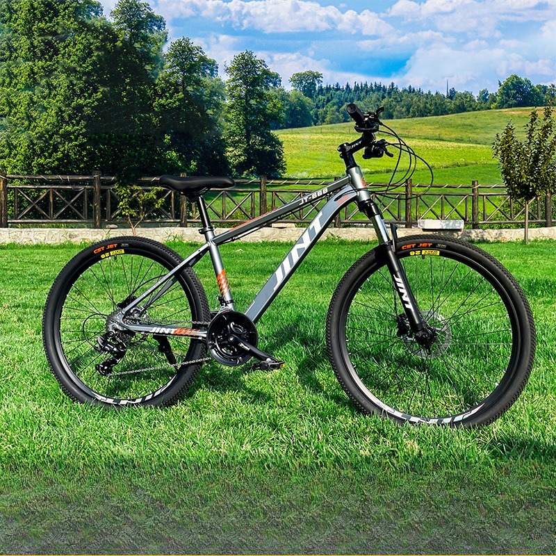 Vélo de Route Commuter en Alli - Commuting With Bike avis et prix